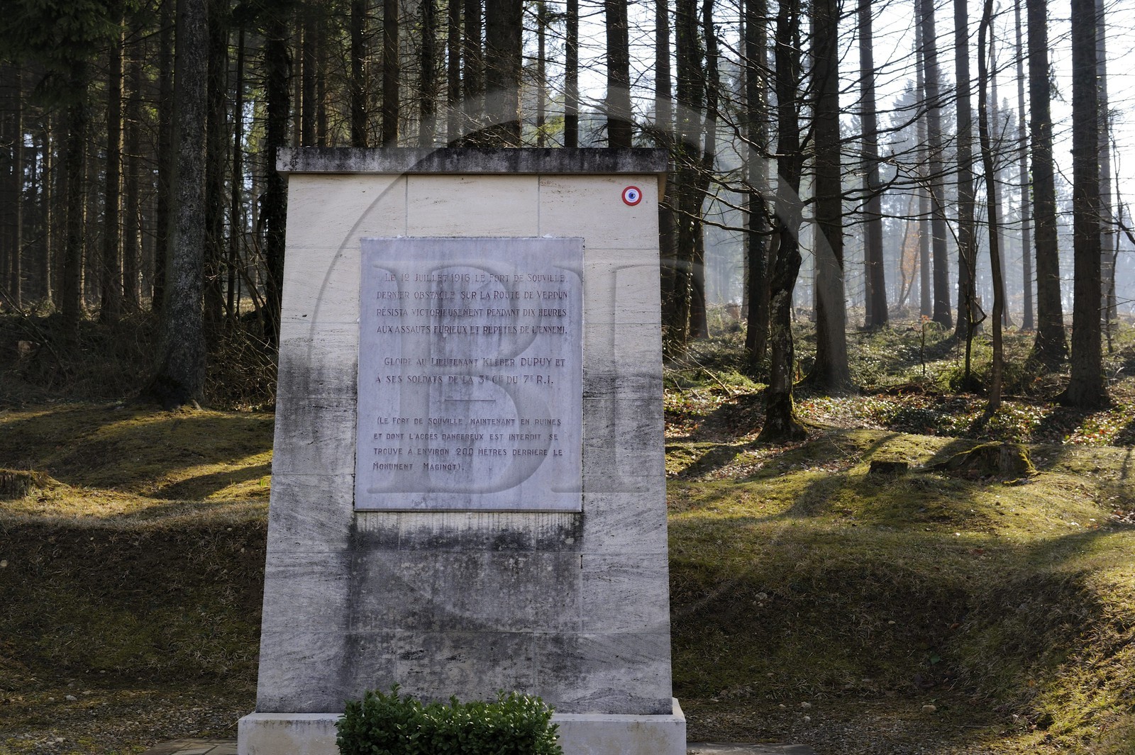 France, Meuse (55), région de Verdun,