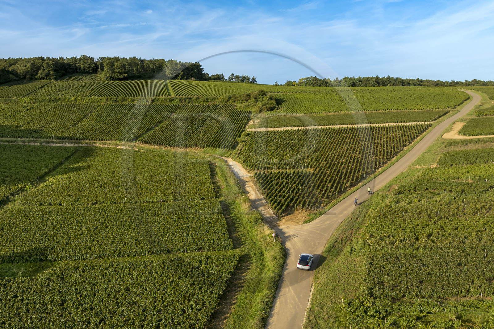 France, Côte-d'Or (21), les climats de Bourgogne classés Patrimoine Mondial de l'UNESCO, Route des Grands Crus, vignoble de la Côte de Beaune sur les hauteurs de  Pernand-Vergelesses (vue aérienne)