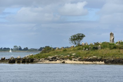 France, Morbihan (56), Golfe du Morbihan, île d'Er Lannic avec un site mégalithique cromlec'h