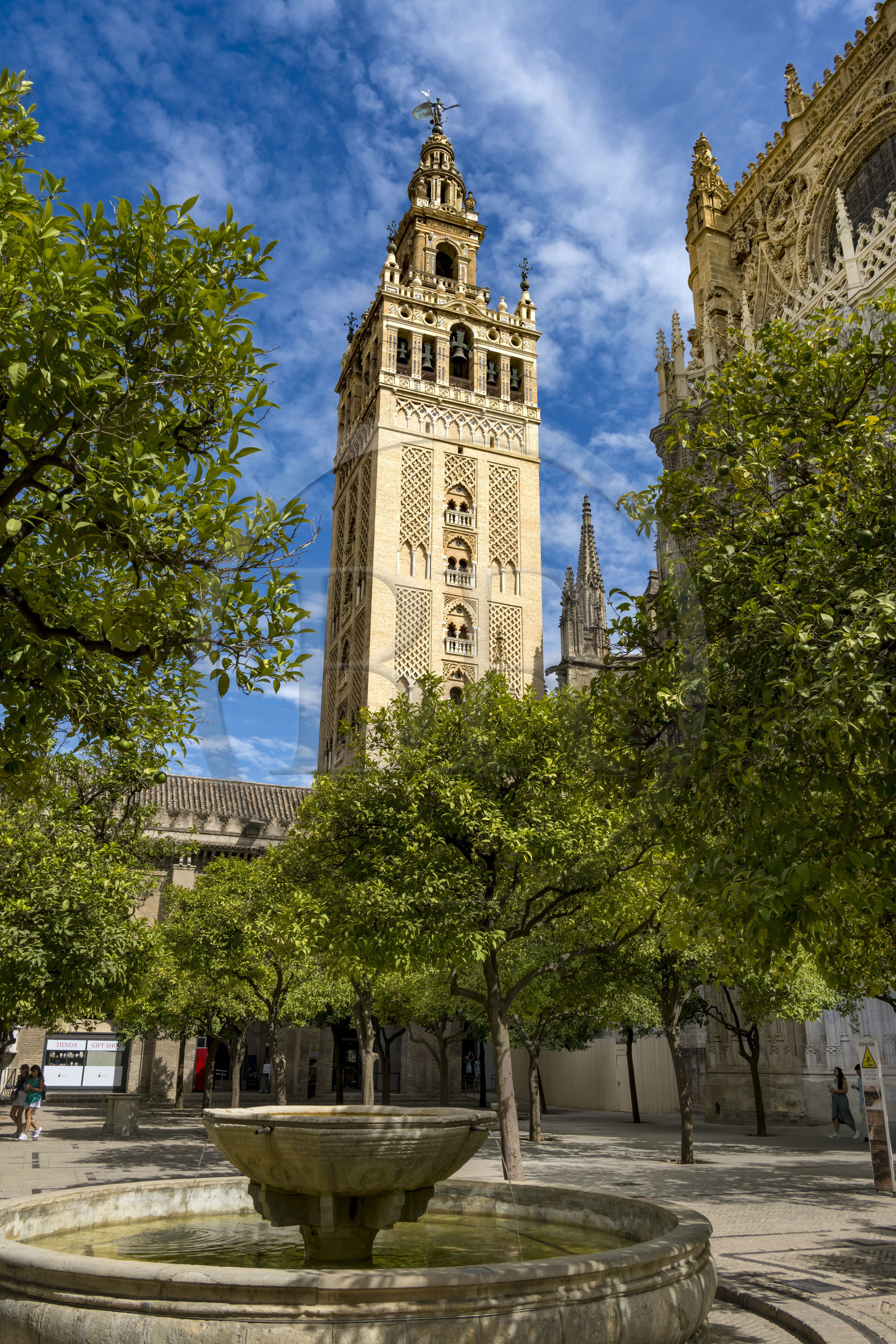 Espagne, Andalousie, Séville, la cathédrale, classé Patrimoine Mondial de l'UNESCO, le Patio de los Naranjos et la tour Giralda