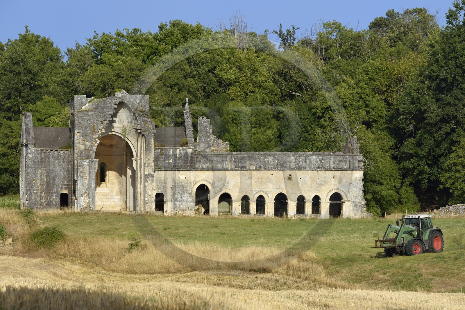 France, Dordogne (24), Périgord Vert, Villars, abbaye cistercienne de Boschaud du 12ème siècle qui dépendait de l'abbaye de Clairvaux, emplacement du cloitre