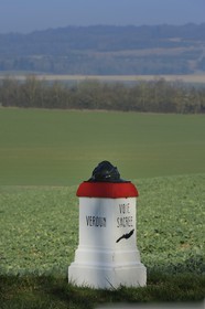France, Meuse, Verdun area, kilometre marker of the Voie Sacrée (Sacred Way) along the road from Verdun to Bar le Duc