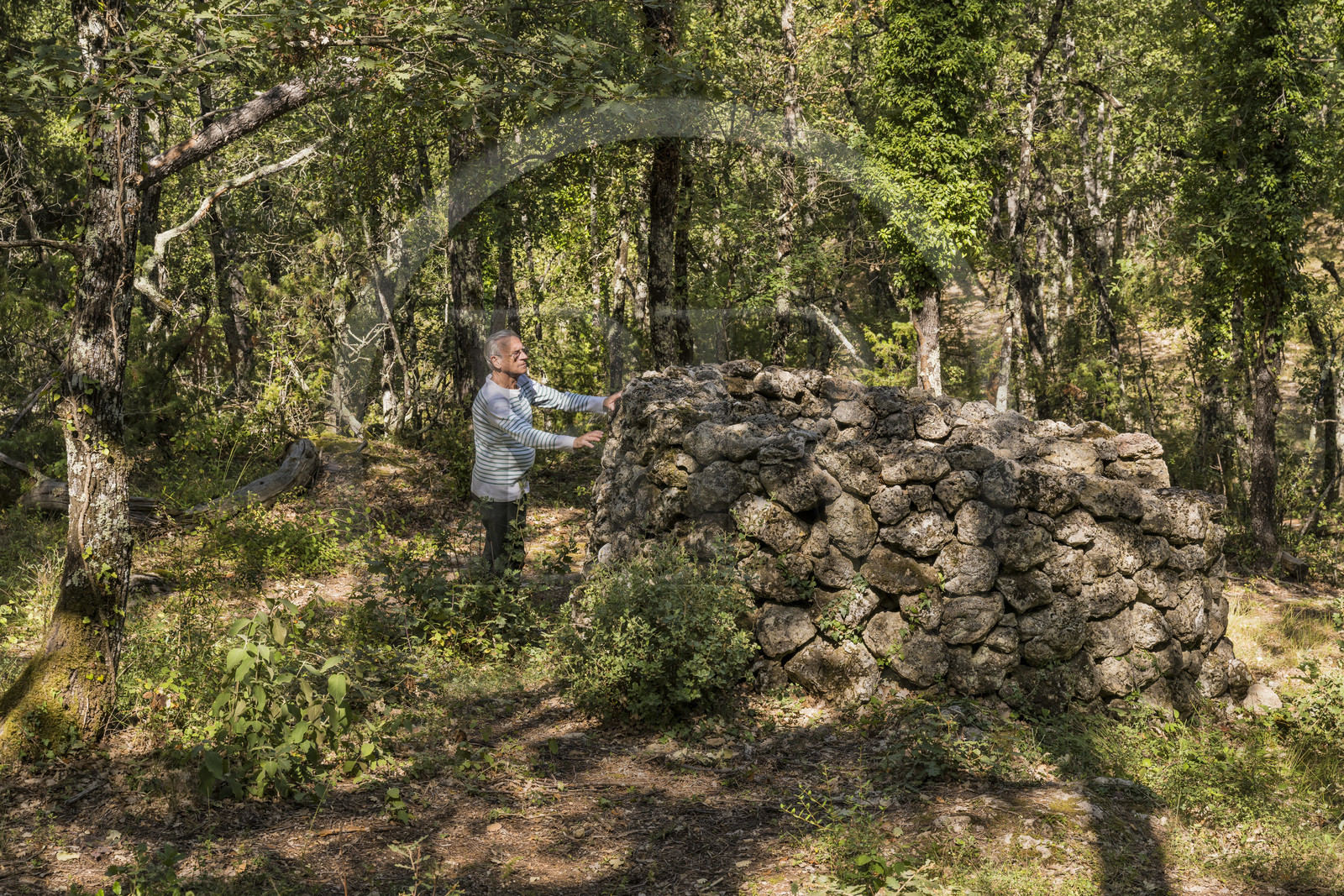 France, Var (83), Provence Verte, Bras, vers Saint-Maximin-la-Sainte-Baume, forêt du domaine Le Peyrourier - une campagne en Provence, Claude Fussler dans un ancien abri pour la chasse à l'affût dit à l'agachon