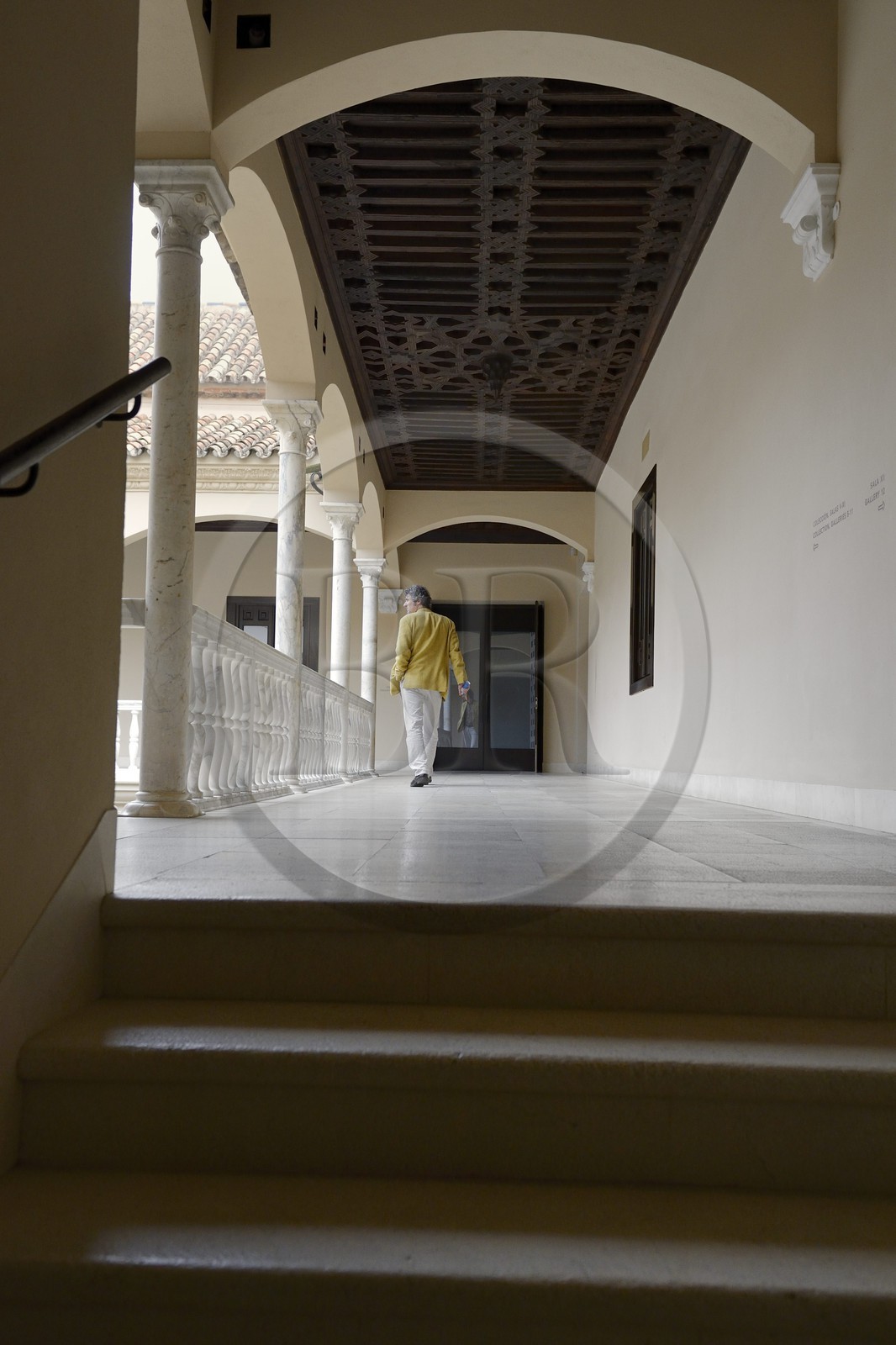 Spain, Andalusia, Malaga, Picasso Museum in the Buenavista Palace