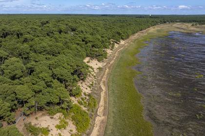 France, Charente-Maritime (17), Royan, Les Mathes, la baie de Bonne Anse à marée basse (vue aérienne)