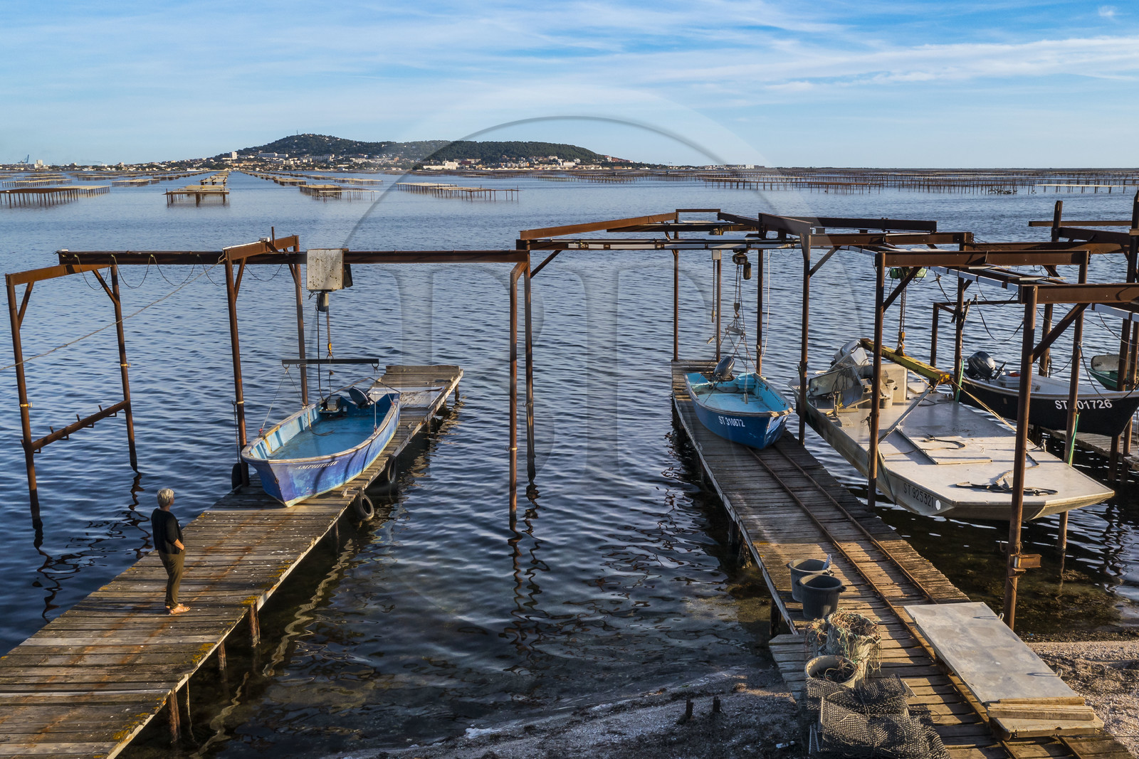 France, Hérault, Bouzigues, village on the banks of the Etang de Thau and renowned for its oysters and shellfish, oyster farms, Mont Saint-Clair and Sète in the background (aerial view)