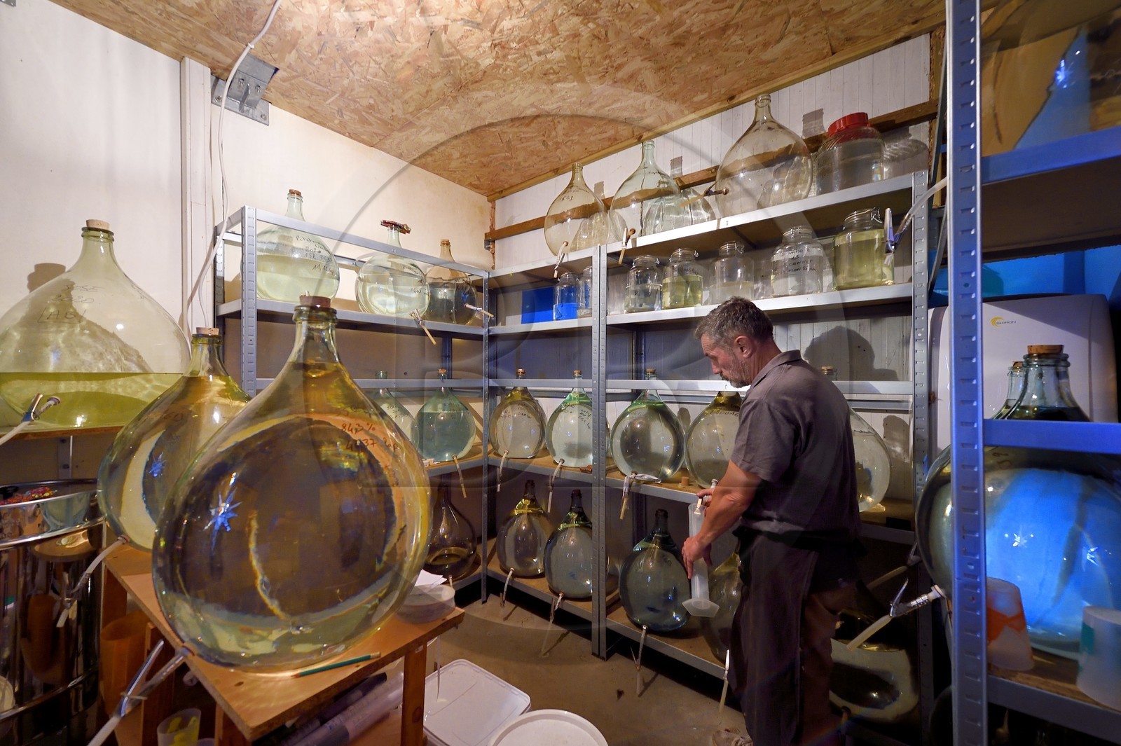 France, Ile de la Reunion, La Saline, La Part des Anges Distillation, reserve et vieillissement des eaux de vie en bonbonnes de verre, prélèvement pour pesée d'alcool