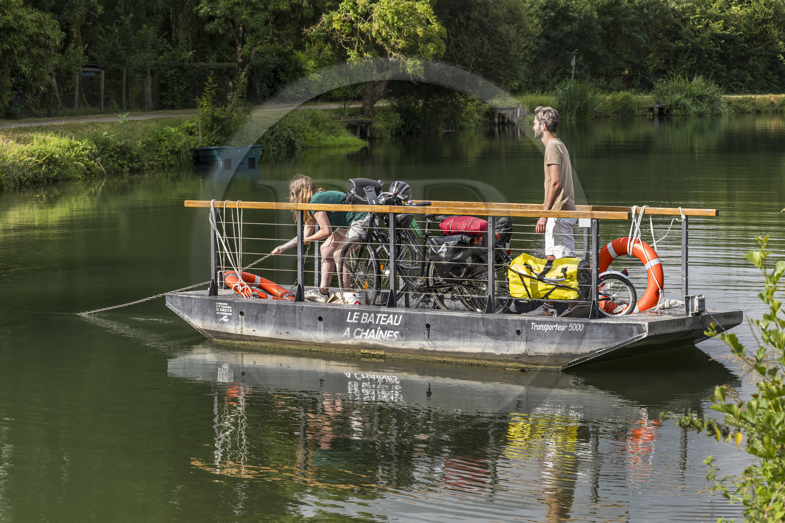 France, Deux-Sèvres, le Marais Poitevin, Green Venice, Magné, bicycle journey, passage of the Sèvre Niortaise river on one of the chain boats in free access