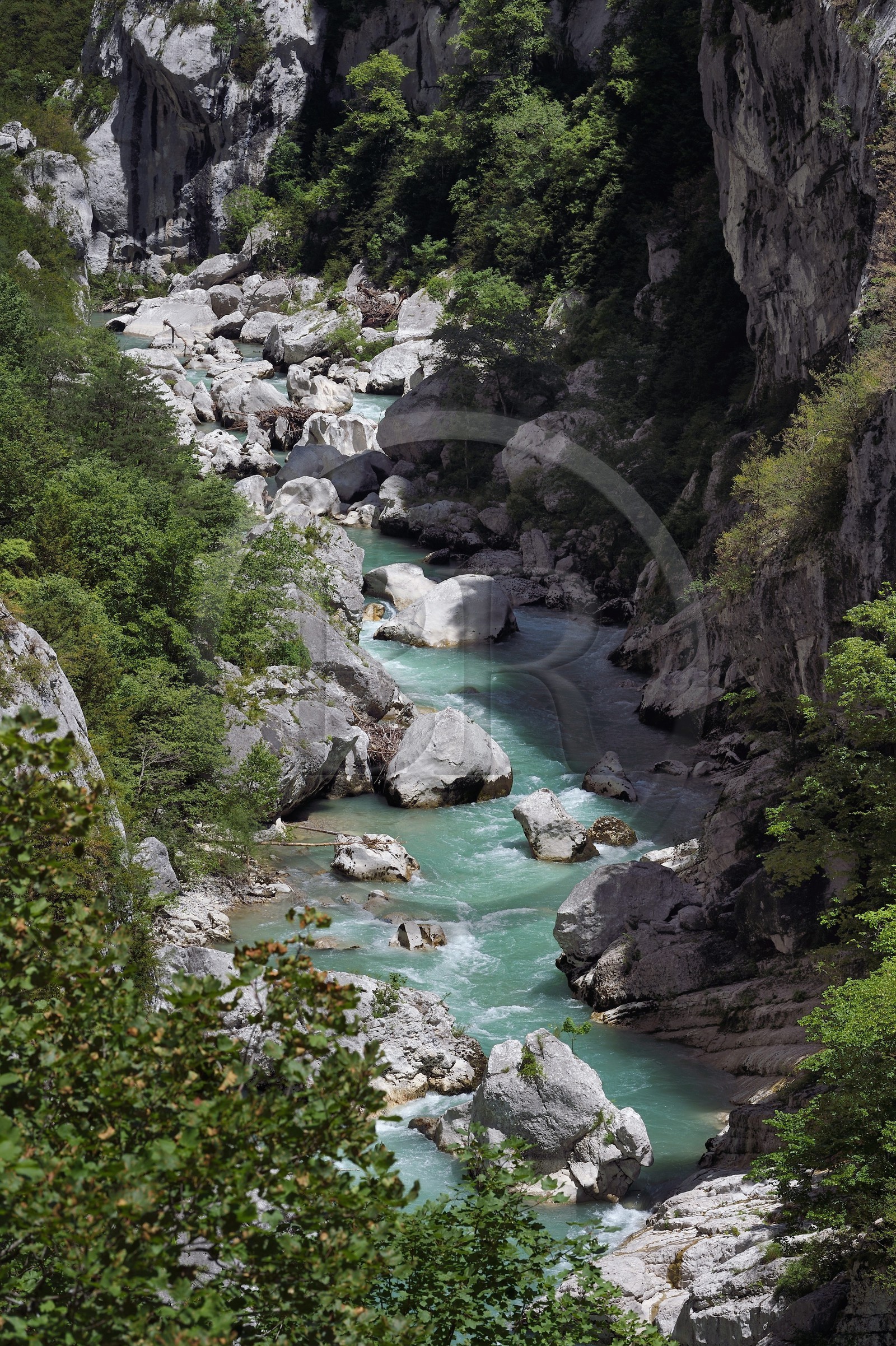 France, Alpes-de-Haute-Provence (04), Parc Naturel Régional du Verdon, Rougon, Grand Canyon du Verdon, la rivière du Verdon dans le couloir Samson, vu depuis le sentier Blanc-Martel sur le GR4