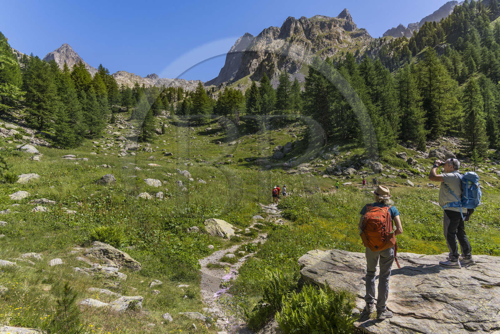 France, Alpes-Maritimes (06), parc national du Mercantour, Haute-Vésubie, Saint-Martin-Vésubie, Val du Haut Boréon, randonnée sur le GR 52 vers le refuge de Cougourde, Peïrastreche sous le Cirque de Cougourde en arrière plan