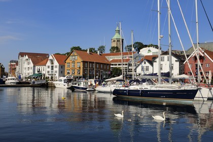 Norvège, Rogaland, Stavanger, bateaux de plaisance et cygnes dans le vieux port (Vagen)
