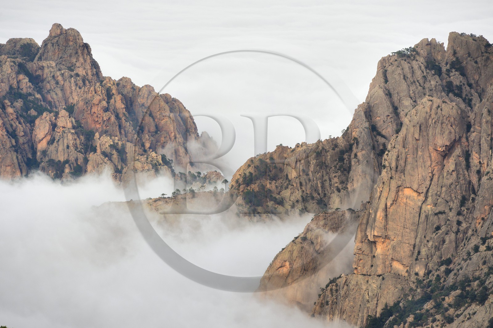 France, Corse-du-Sud (2A), Alta Rocca, sommets des monts à l'Est du col de Bavella émergeants des nuages