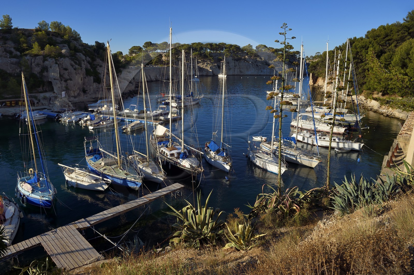 France, Bouches-du-Rhône (13), Cassis, Parc national des Calanques, Calanque de Port-Miou, la marina (demande d'autorisation nécessaire avant publication)