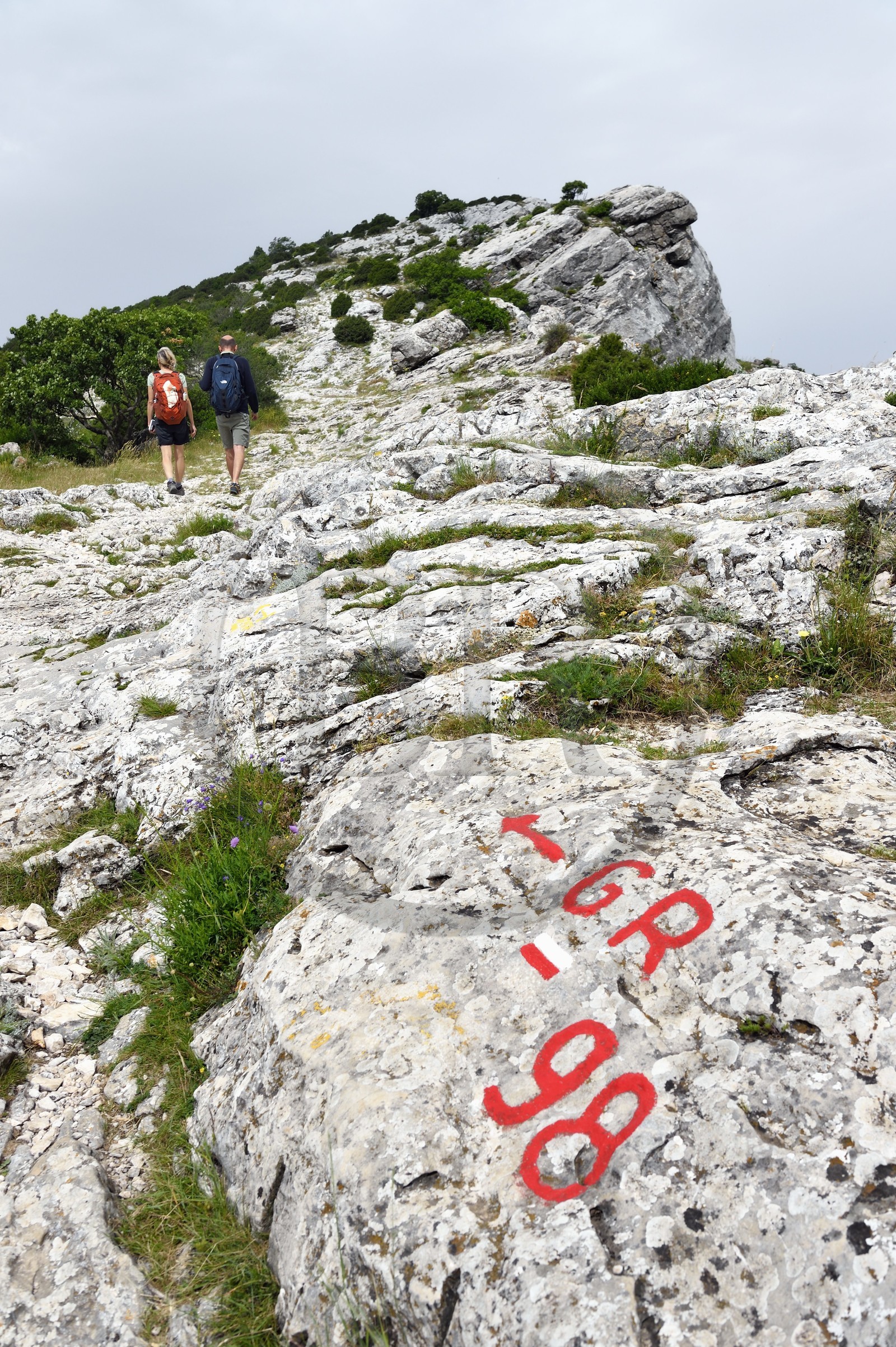 France, Var (83), Plan-d'Aups-Sainte-Baume, parc naturel régional de la Sainte-Baume, Massif de la Sainte-Baume, randonneurs au col du Saint-Pilon sur le GR 98, le Saint-Pilon en arrière plan