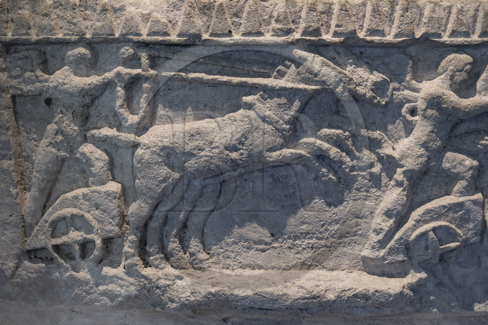 France, Bouches-du-Rhône (13), Arles, musée départemental Arles antique, frise des Amours auriges (Ier siècle) provenant probablement d'un monument funéraire trouvée près du théatre antique d'Arles