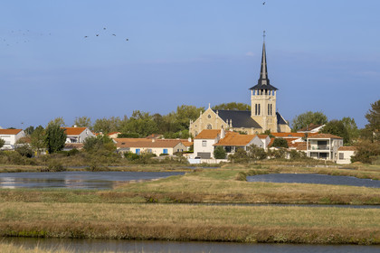 France, Vendée (85), L'Ile d'Olonne vers Les-Sables-d'Olonne, l'église Saint-Martin-de-Vertou en bordure des marais salants