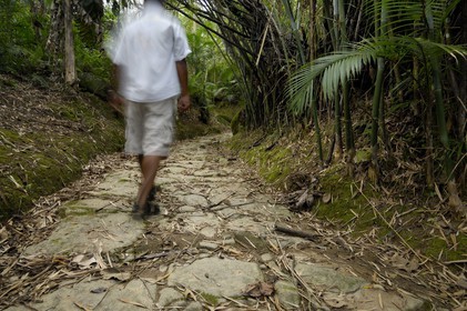 Brésil, Etat de Rio de Janeiro, Paraty, ancienne route de l'or (Estrada Real)