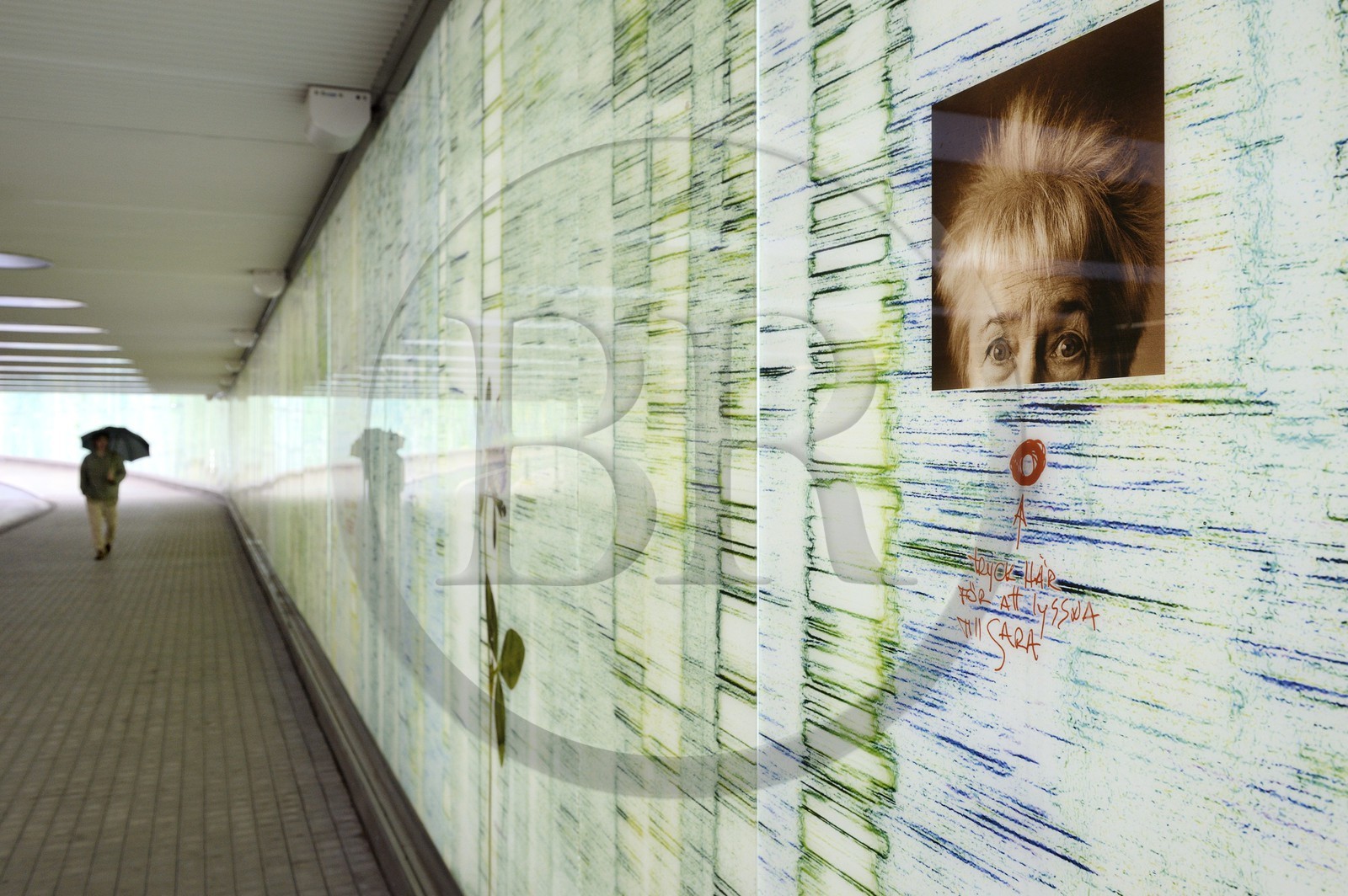 Suède, Comté de Vasterbotten, Umea, hommage à l'écrivaine Sara Lidman dans le tunnel piétonnier et cyclable devant la gare centrale, oeuvre collective avec notamment Gustavo Aguerre