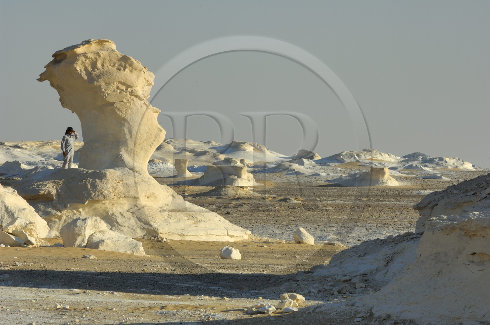 Egypte, désert libyque, le Désert Blanc au nord de Farafra