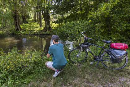 France, Deux-Sèvres (79), le Marais Poitevin, la Venise Verte, Le Vanneau-Irleau, randonnée à bicyclette le long des canaux, un des cyclistes se lance dans la pêche à la ligne