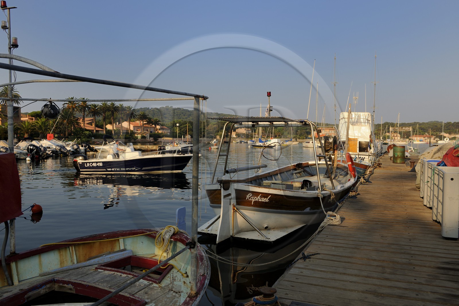 France, Var (83), Iles d'Hyères, parc national de Port-Cros, île de Porquerolles, le village, le quai des pêcheurs sur le port