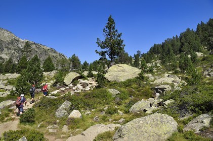 France, Hautes-Pyrénées (65), Saint-Lary-Soulan, Réserve naturelle nationale du Néouvielle, randonnée des lacs du Neouvielle, les Laquettes