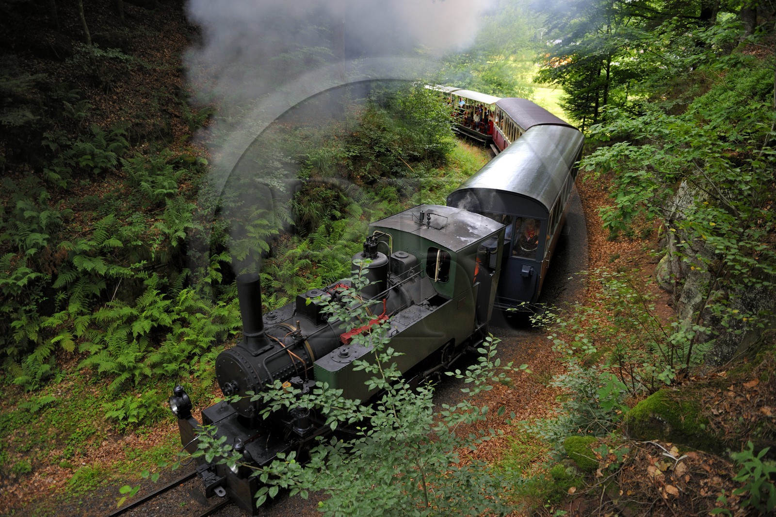 France, Moselle (57), Abreschviller, le petit train anciennement train forestier