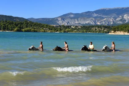 France, Var (83), Parc Naturel Régional du Verdon, lac de Sainte Croix, randonnée équestre avec Verdon Equitation, baignade des chevaux interdite depuis peu (octobre 2014)