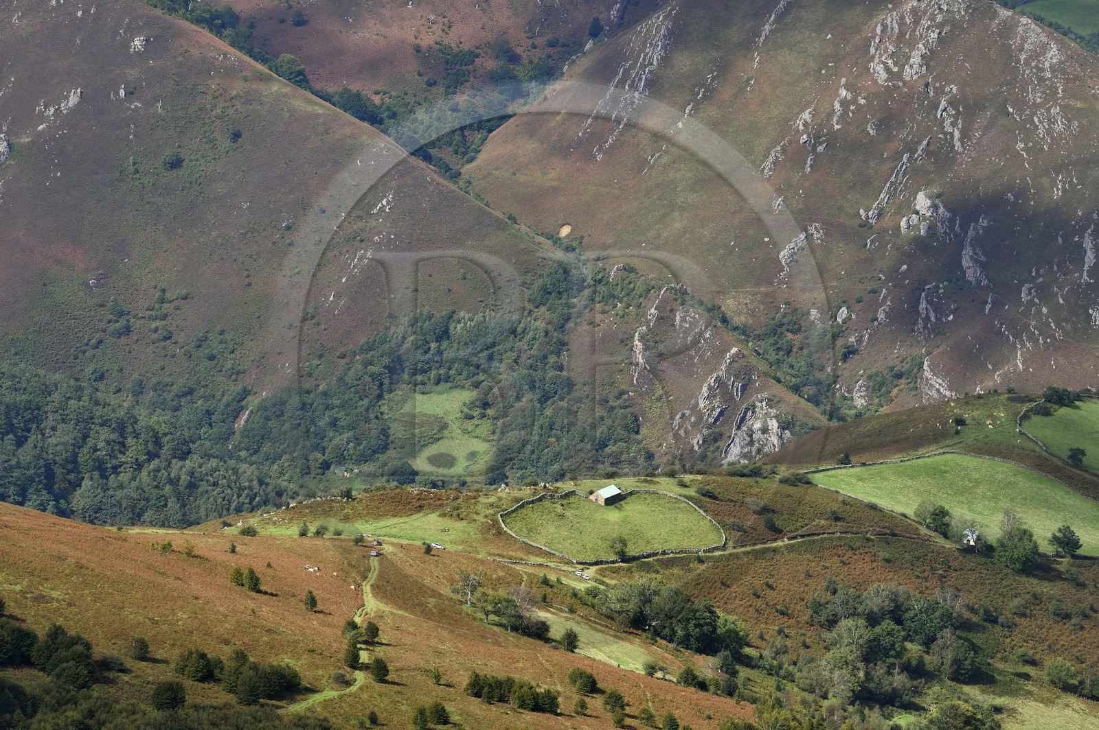 France, Pyrénées-Atlantiques (64), Pays-Basque, chemin de Saint-Jacques de Compostelle, bergerie de l'enclave espagnole à l'ouest du GR 65 entre Saint-Jean-Pied-de-Port et Roncevaux vers le col de Bentarte