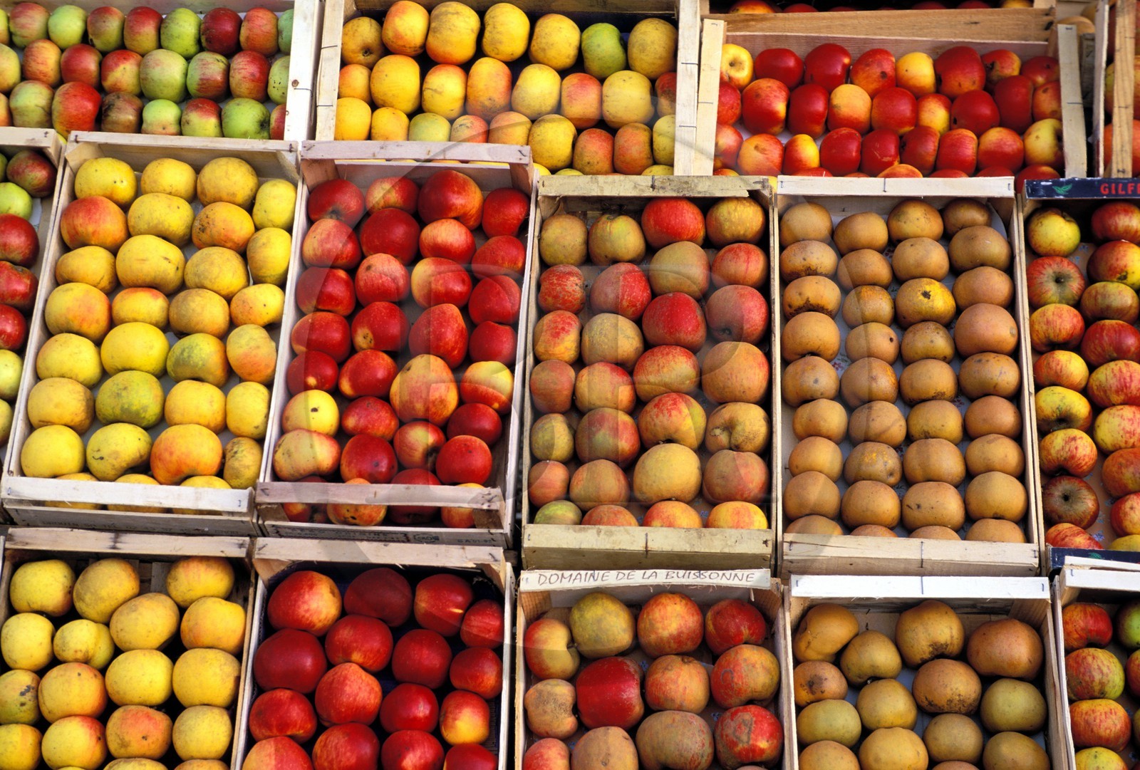 France, Eure (27), Marais-Vernier, Saint-Opportune-la-Mare, maison de la pomme
