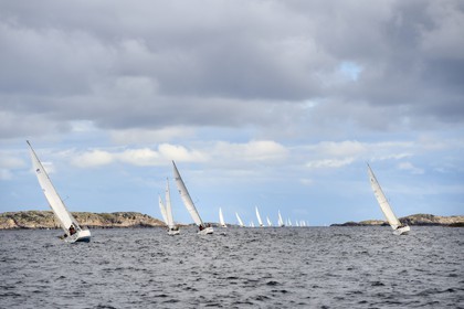 Sweden, Västra Götaland, Väderöarna (weather islands) off Fjällbacka, sailing regatta