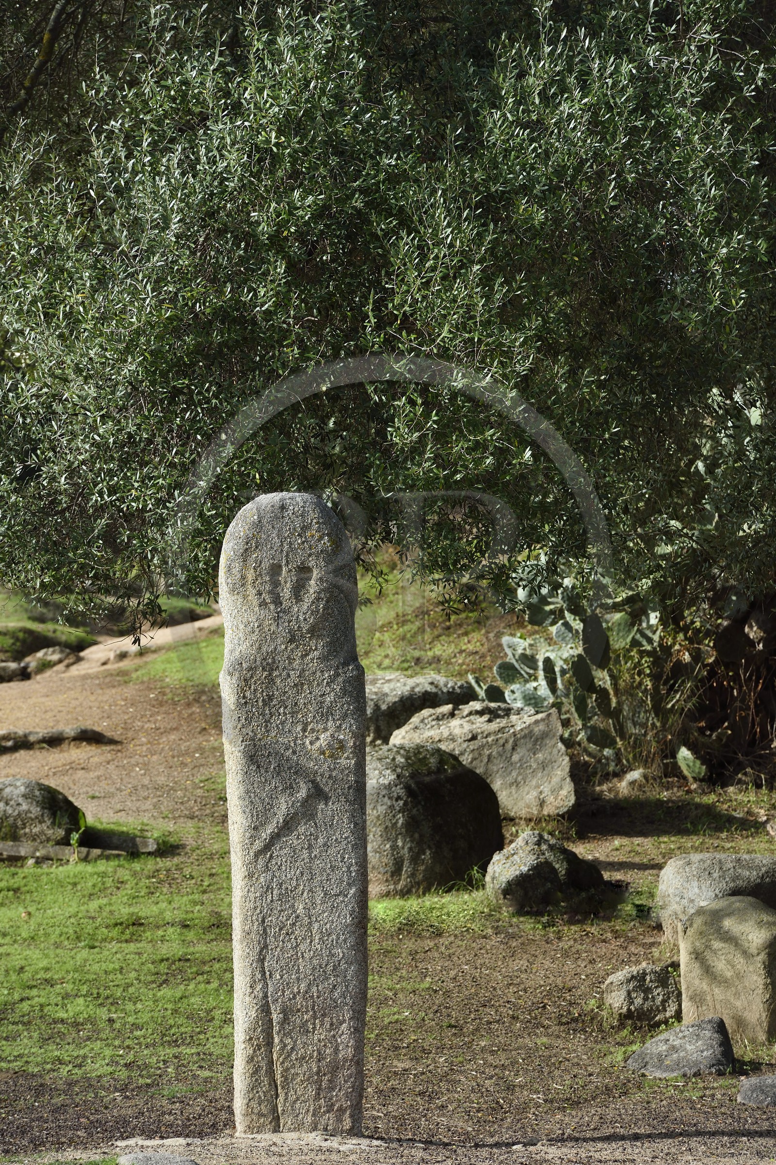 France, Corse-du-Sud (2A), site préhistorique de Filitosa, statue menhir représentant des personnages armés