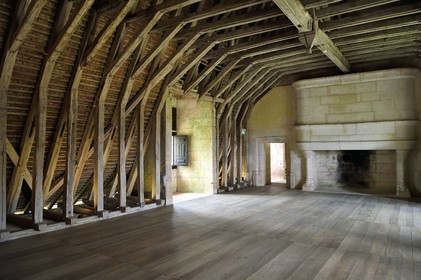 France, Dordogne (24), Périgord Vert, Villars, château de Puyguilhem, la charpente en chêne en forme de carène de bateau renversée