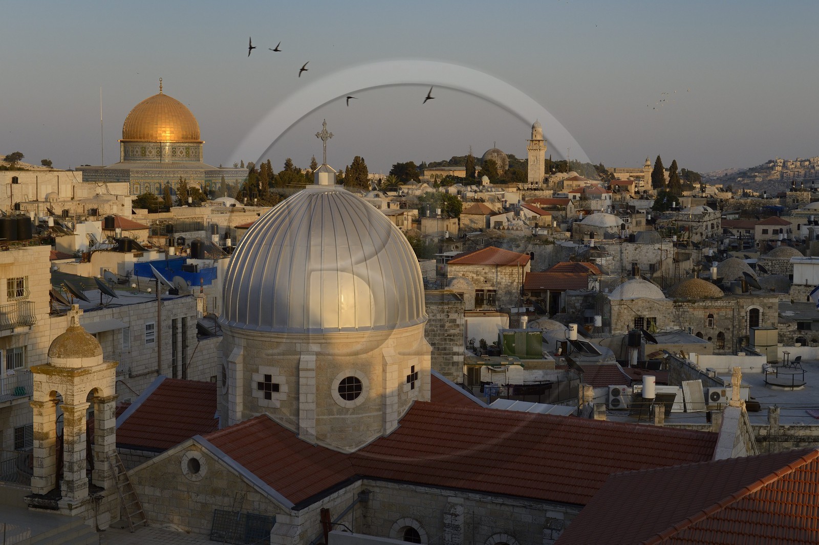 Israel, Jérusalem, ville sainte, vieille-ville classée Patrimoine Mondial de l'UNESCO, les toits du quartier musulman,  l'église Notre-Dame du Spasme et le Dome du Rocher en arrière plan
