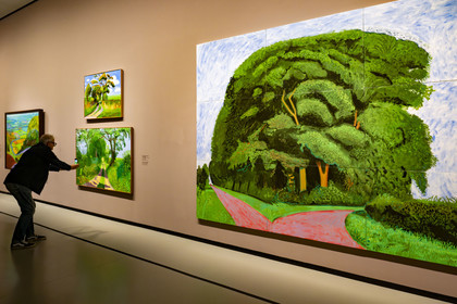 France, Paris, Bois de Boulogne, the Louis Vuitton Foundation by architect Frank Gehry, David Hockney exhibition 25, Bigger Trees near Warter, Summer 2008, oil on 9 canvases