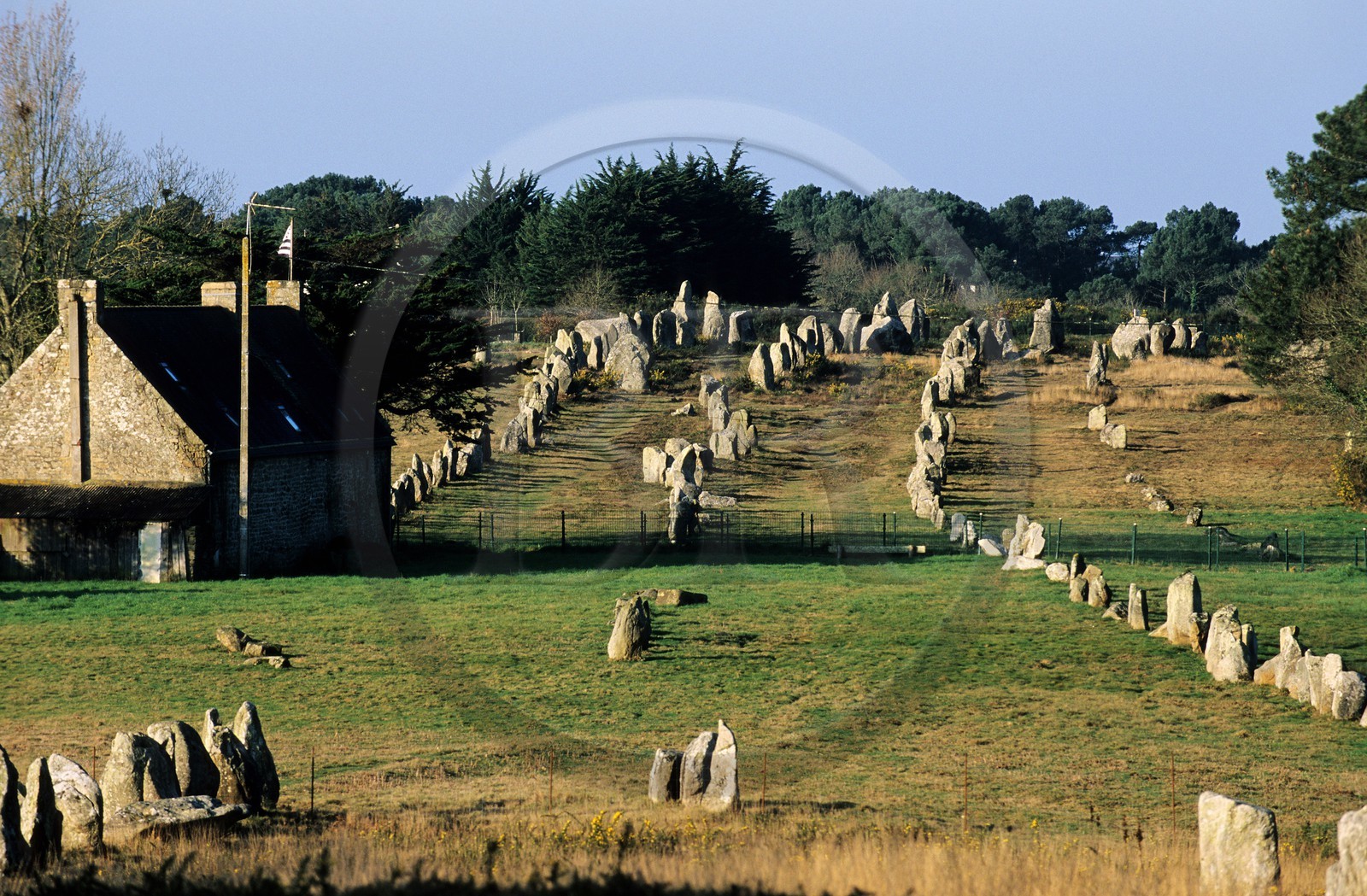 France, Morbihan, Megaliths of Carnac, Kermario 's alignments