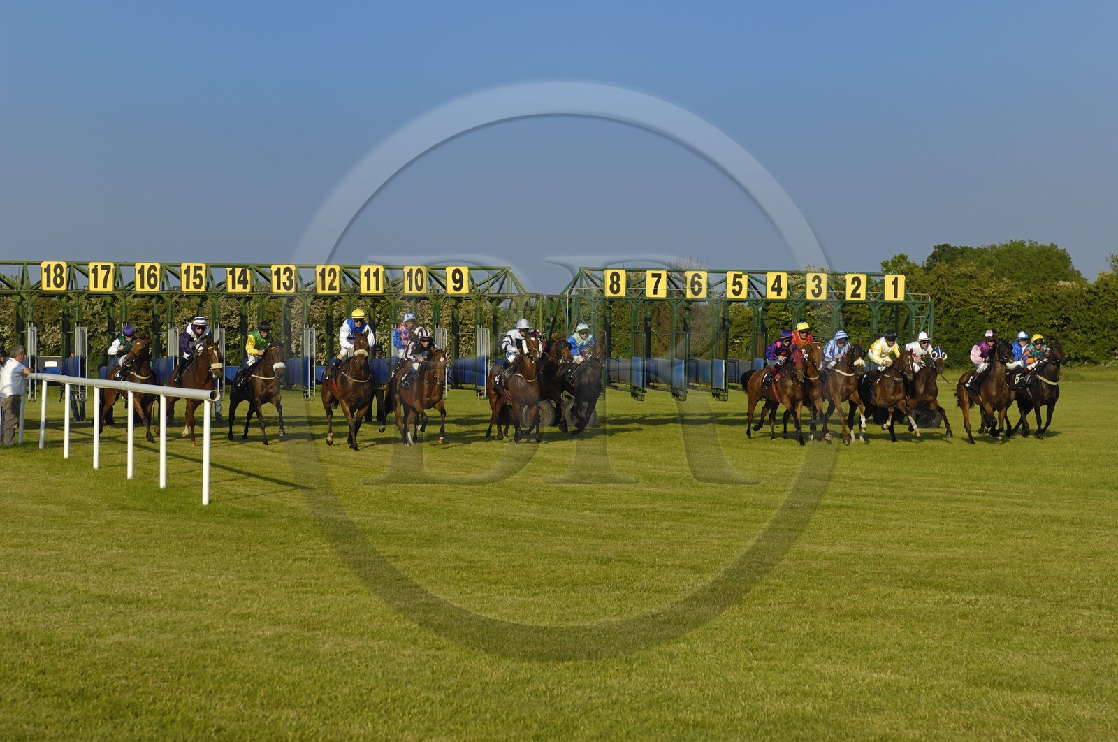 Irlande, Co. Meath, hippodrome de Fairyhouse, départ de la course