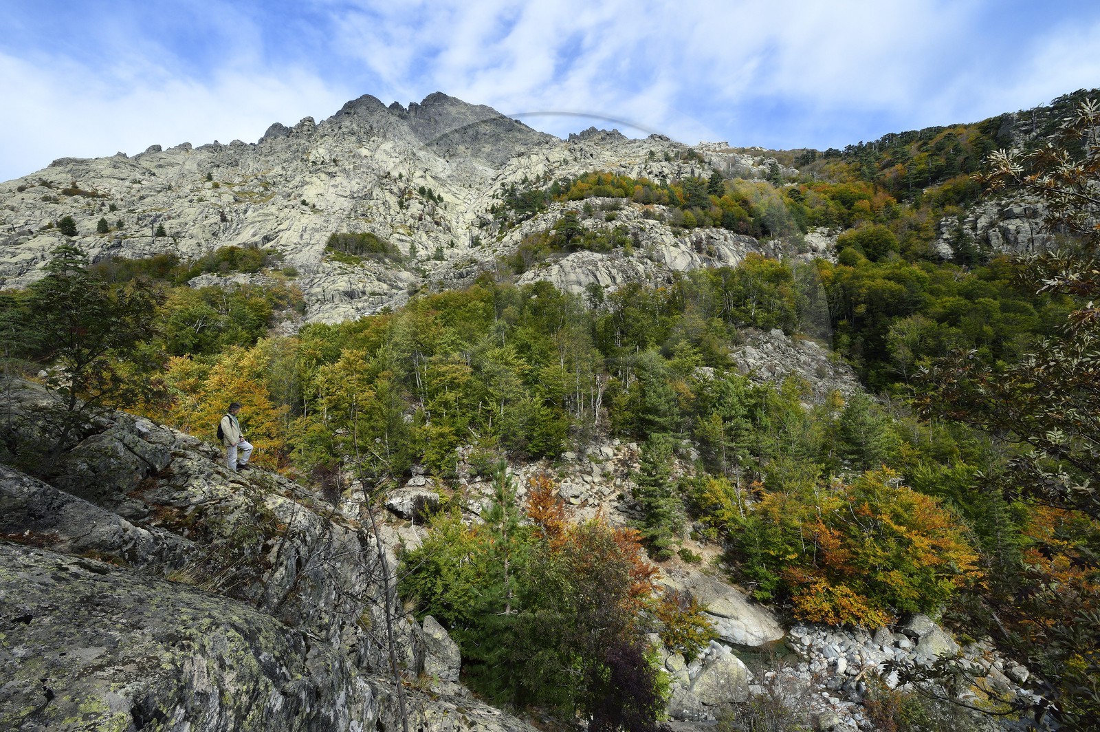 France, Haute-Corse (2B), Vivario, GR 20, étape entre le refuge de l'Onda et Vizzavona, foret de Vizzavona, les cascades des anglais, groupe de cascades dans la vallée de l'Agnone au pied du Monte d'Oro