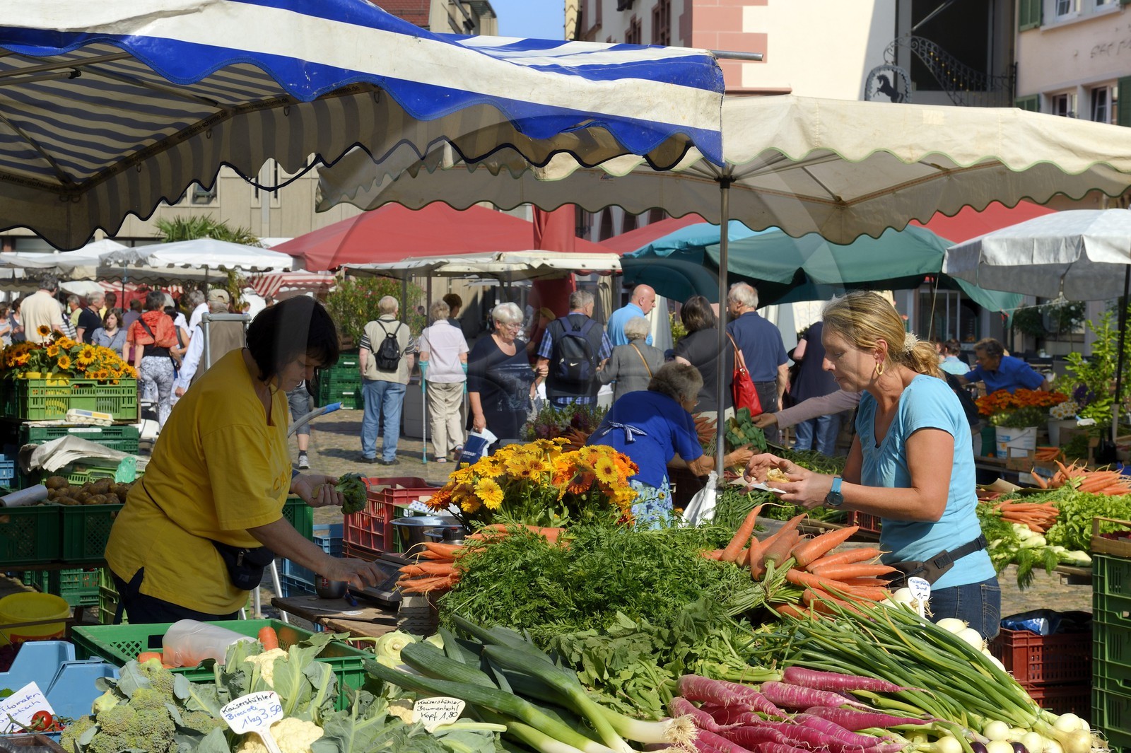 Allemagne, Bade-Wurtemberg, Fribourg en Brisgau, jour de marché sur la Munsterplatz