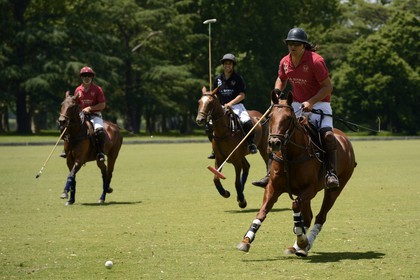 Argentine, province de Buenos Aires, San Antonio de Areco, estancia La Bamba de Areco, match de polo