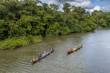 France, French Guiana, Kourou, Camp Maripas, race of two P12 pirogue (traditional Guyanese pirogue adapted in resin) on the Kourou River (aerial view)