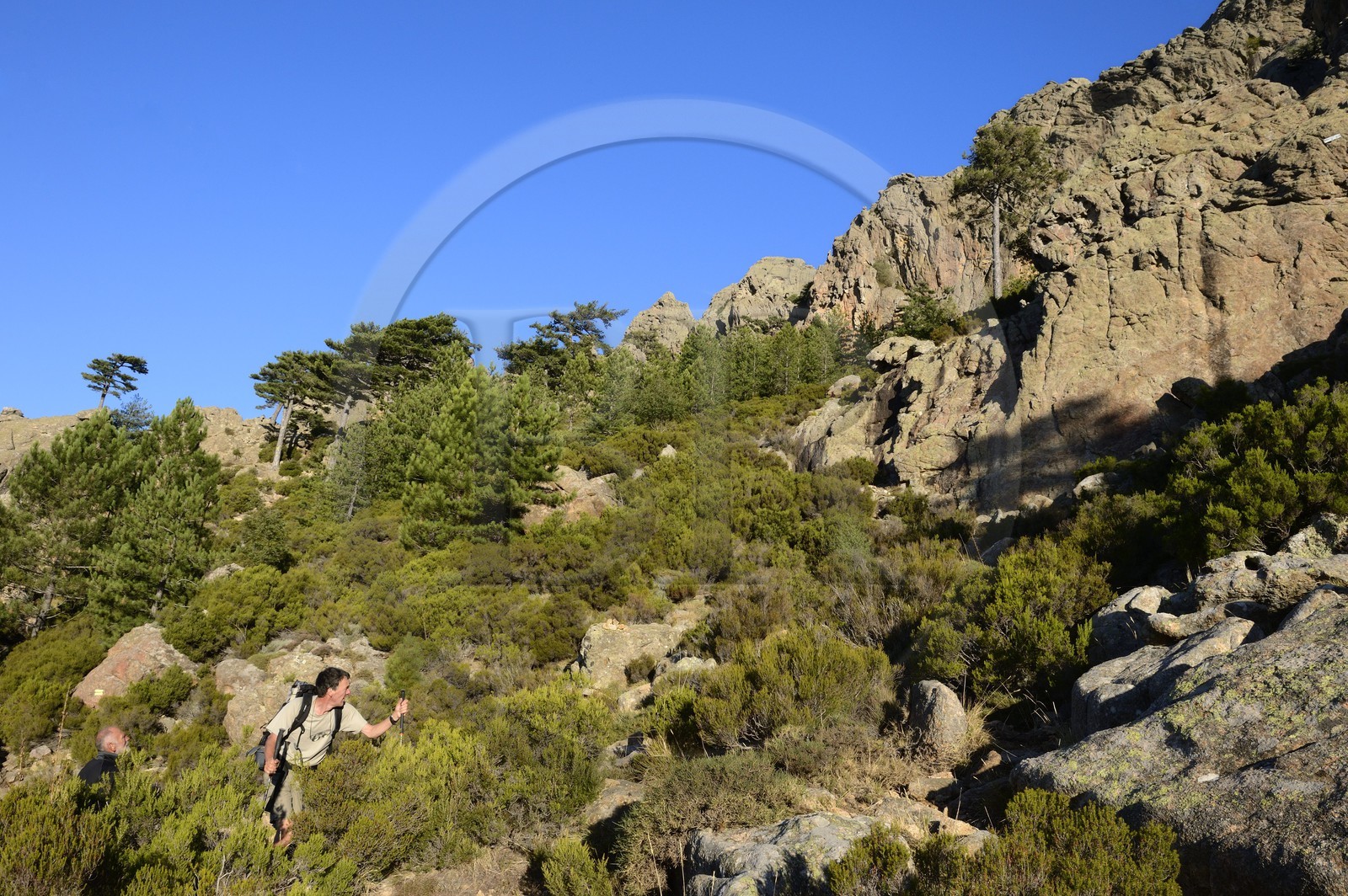 France, Corse du Sud, Alta Rocca, Aiguilles de Bavella (Bavella Needles), hikers on the alpine variante of the GR 20 (Grande Randonnée itinerary)