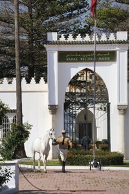 Maroc, région de Meknès-Tafilalet, haras royal de Meknès