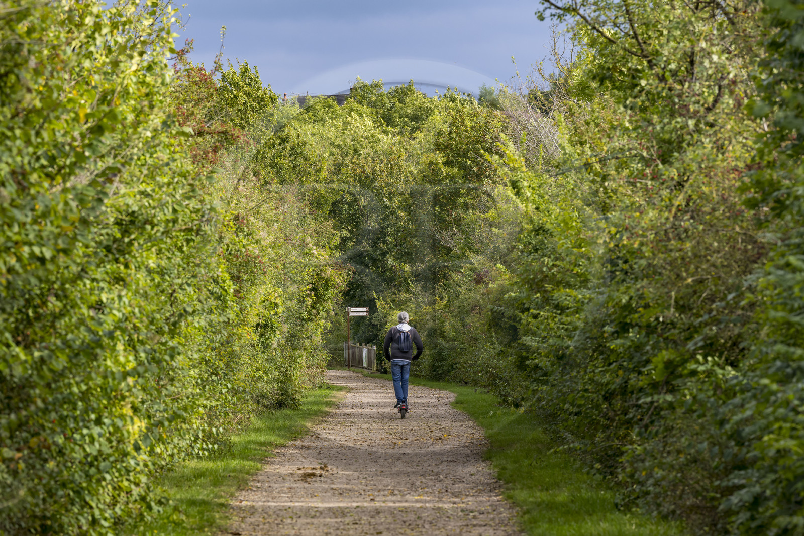 France, Yonne (89), Auxerre, la Coulée verte qui emprunte l'ancienne voie ferrée reliant Auxerre à Gien