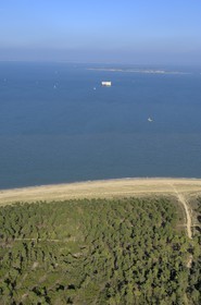 France, Charente-Maritime (17), Ile d'Oléron, forêt des Saumonards (vue aérienne)
