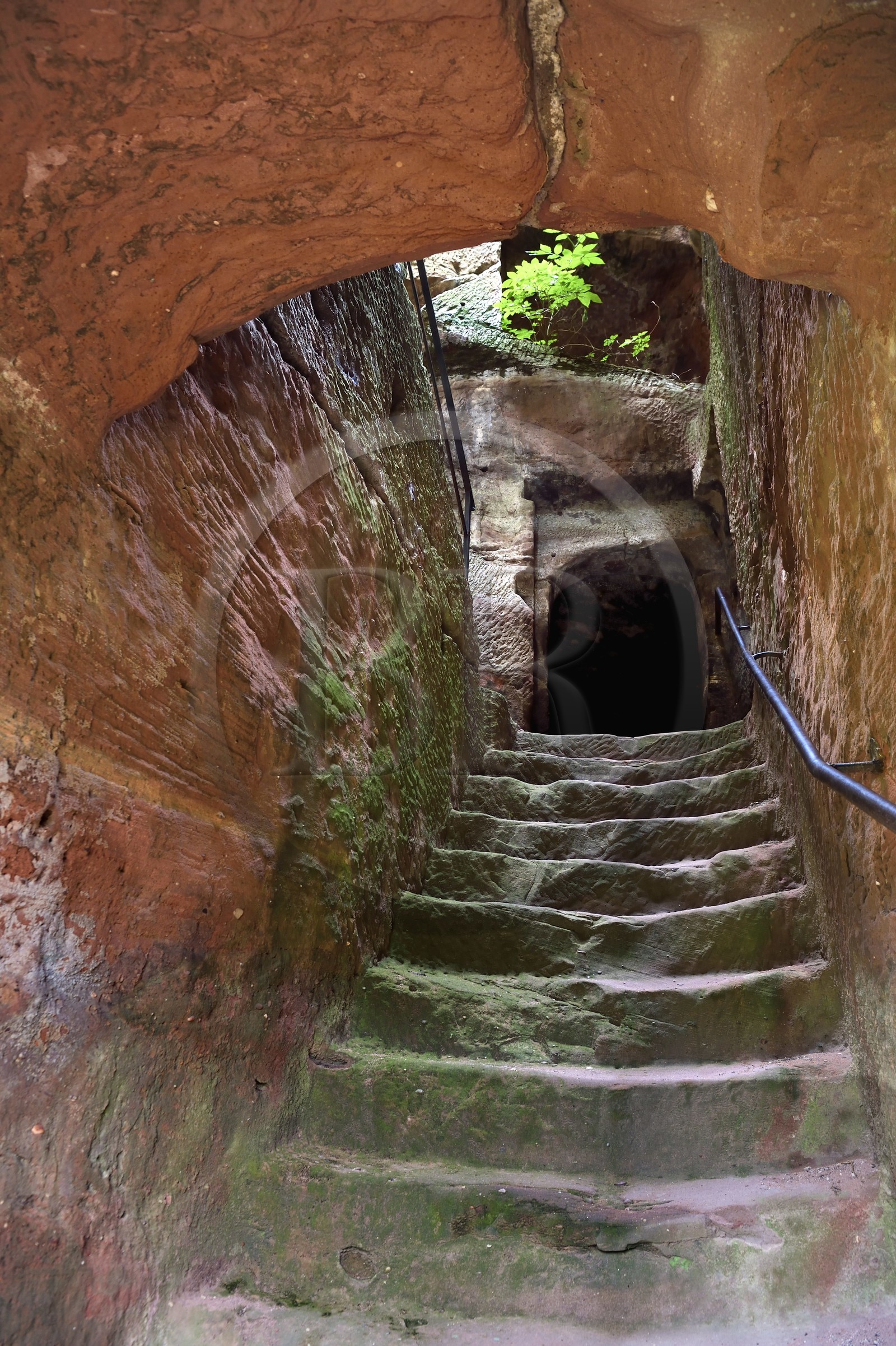 France, Bas-Rhin (67), Parc naturel régional des Vosges du Nord, Niedersteinbach, foret domaniale de Steinbach, ruines du chateau de Wasigenstein, escalier d'accès creusé à même le roc