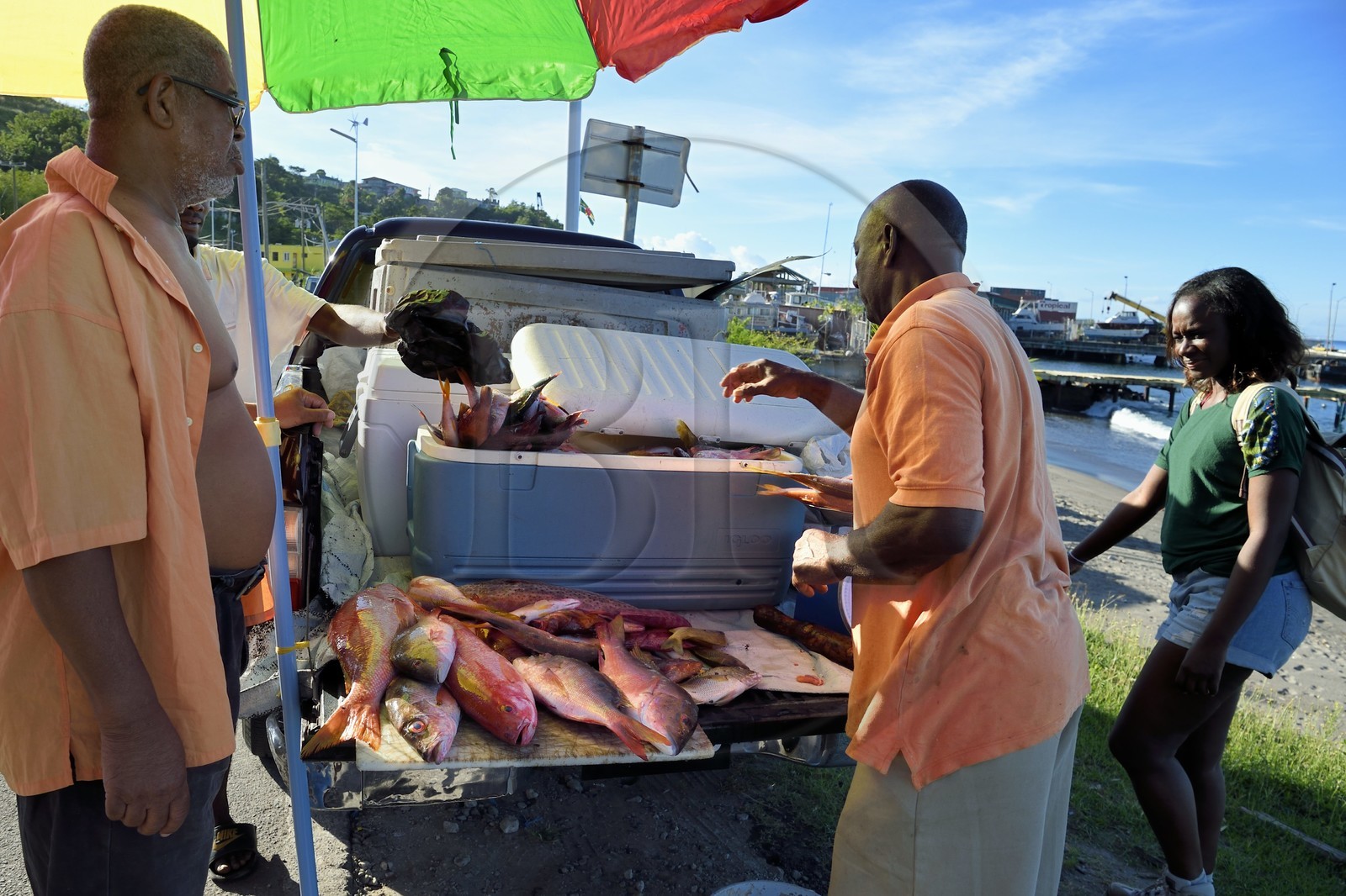 Caraïbes, Ile de la Dominique,