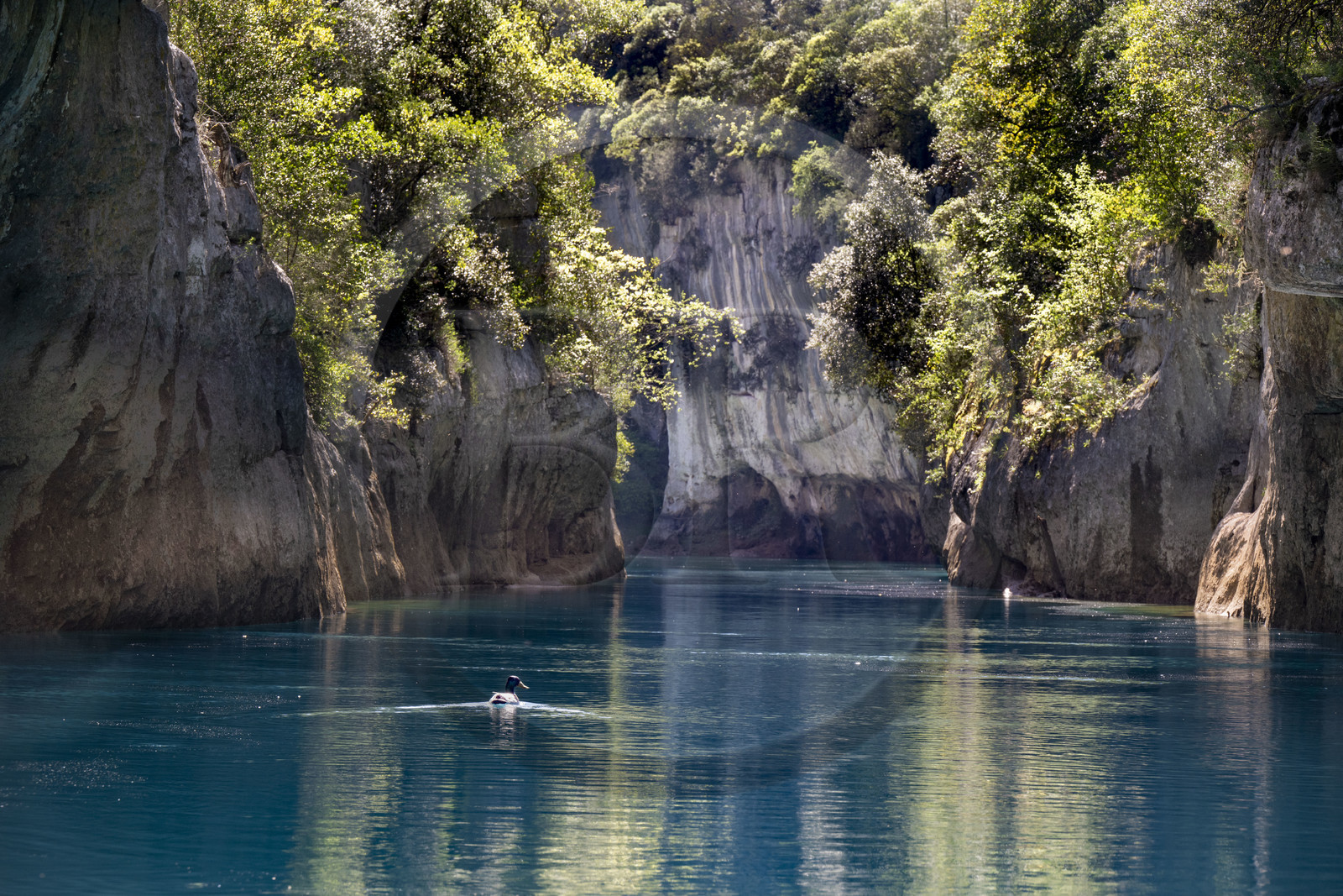 Var (83) rive gauche et Alpes-de-Haute-Provence (04) rive droite, Parc Naturel Régional du Verdon, Basses Gorges du Verdon en aval du lac de Sainte Croix, gorges de Baudinard