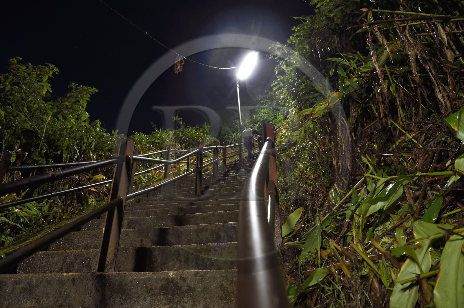 Sri Lanka, province du centre, Dalhousie, escalier menant au Pic d'Adam (Adam's Peak)