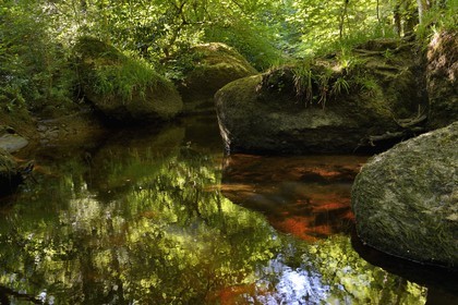 France, Finistère (29), parc naturel régional d'Armorique, Huelgoat, chaos granitique de la forêt du Huelgoat, la forêt se reflète dans l'eau de la rivière d'Argent qui prend parfois une couleur rouge sang